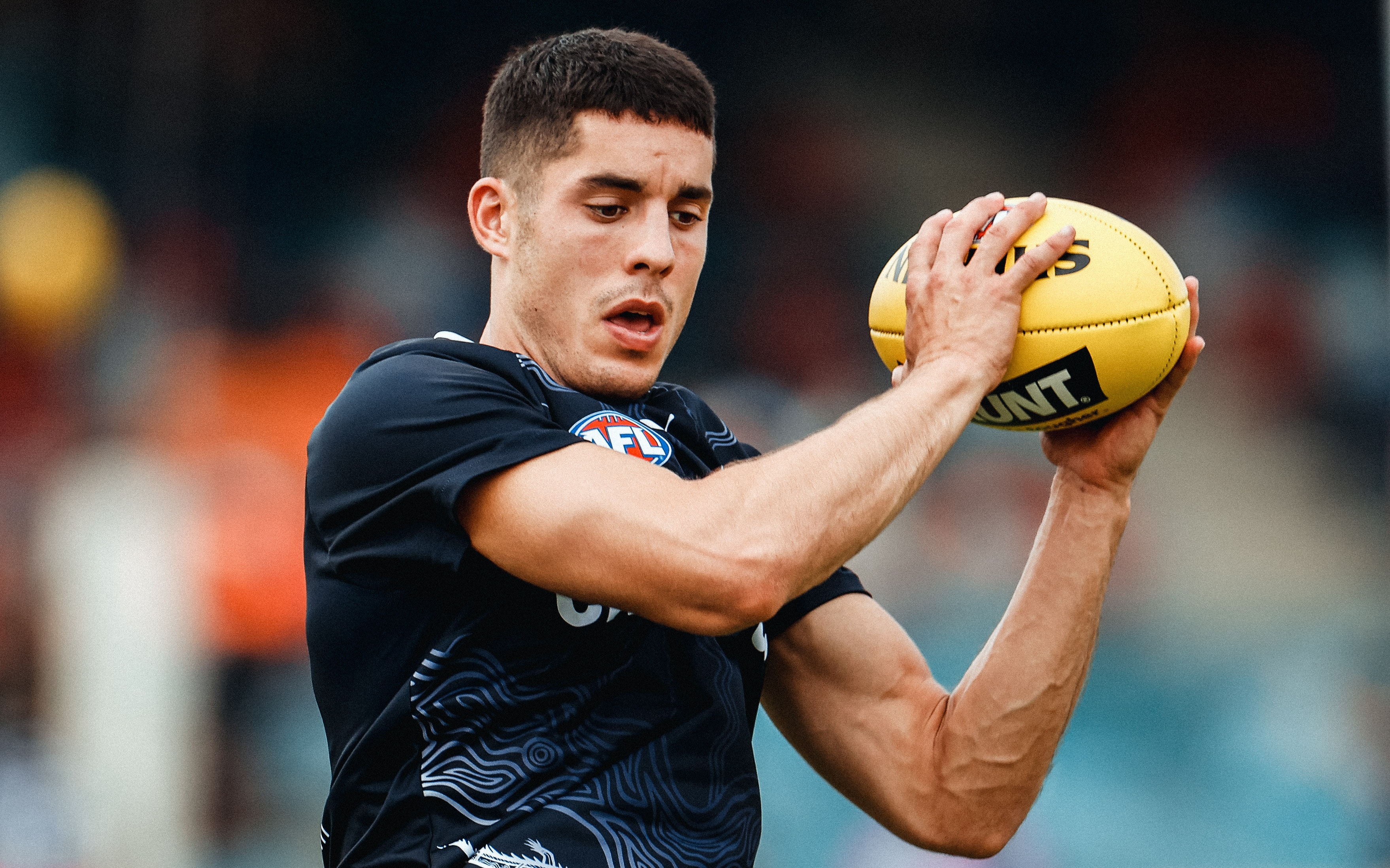 resources.carltonfc.com.auaflc-carlphoto202507...