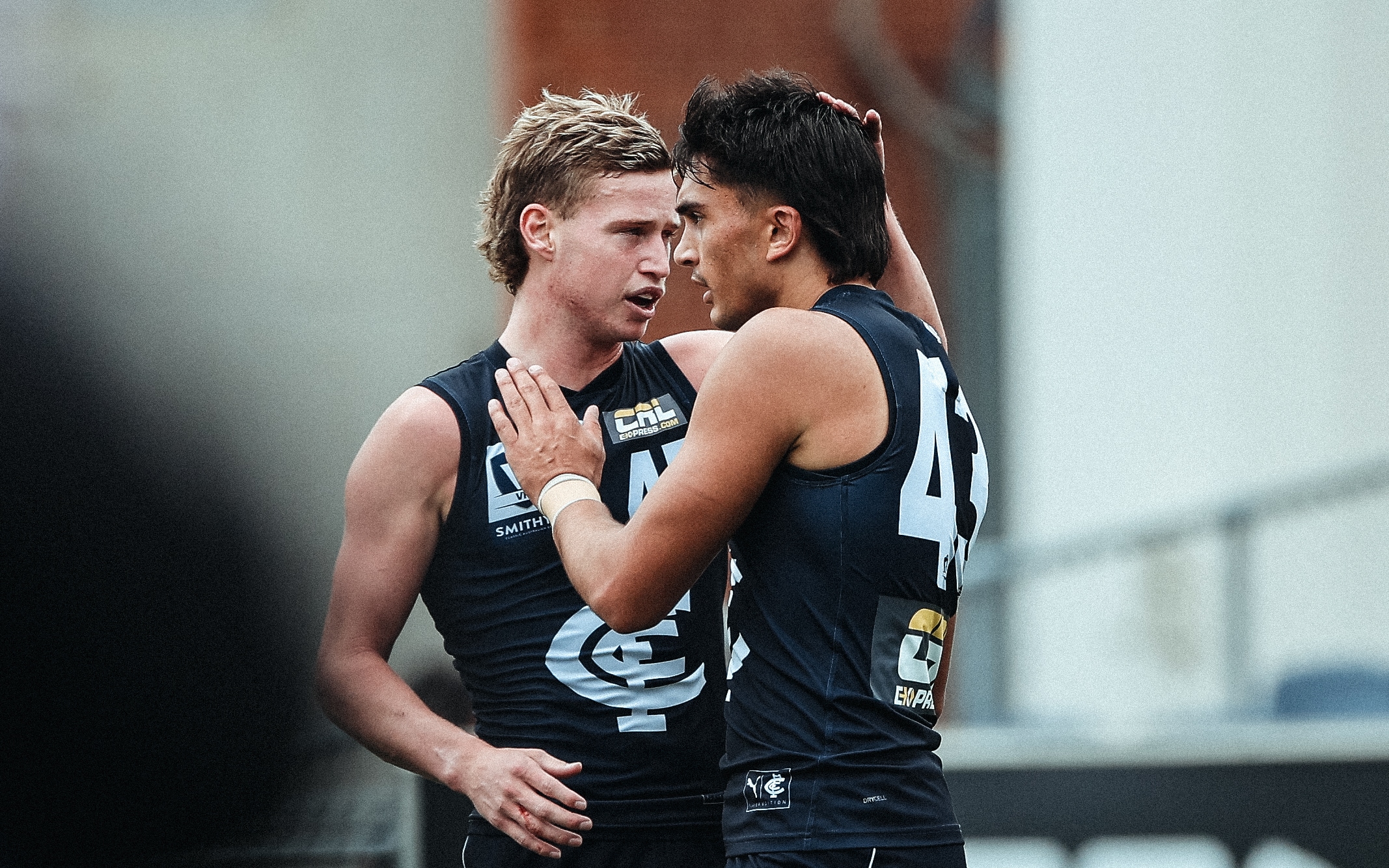 Carlton Football Club VFL Pre-Season Success: Trend Summary