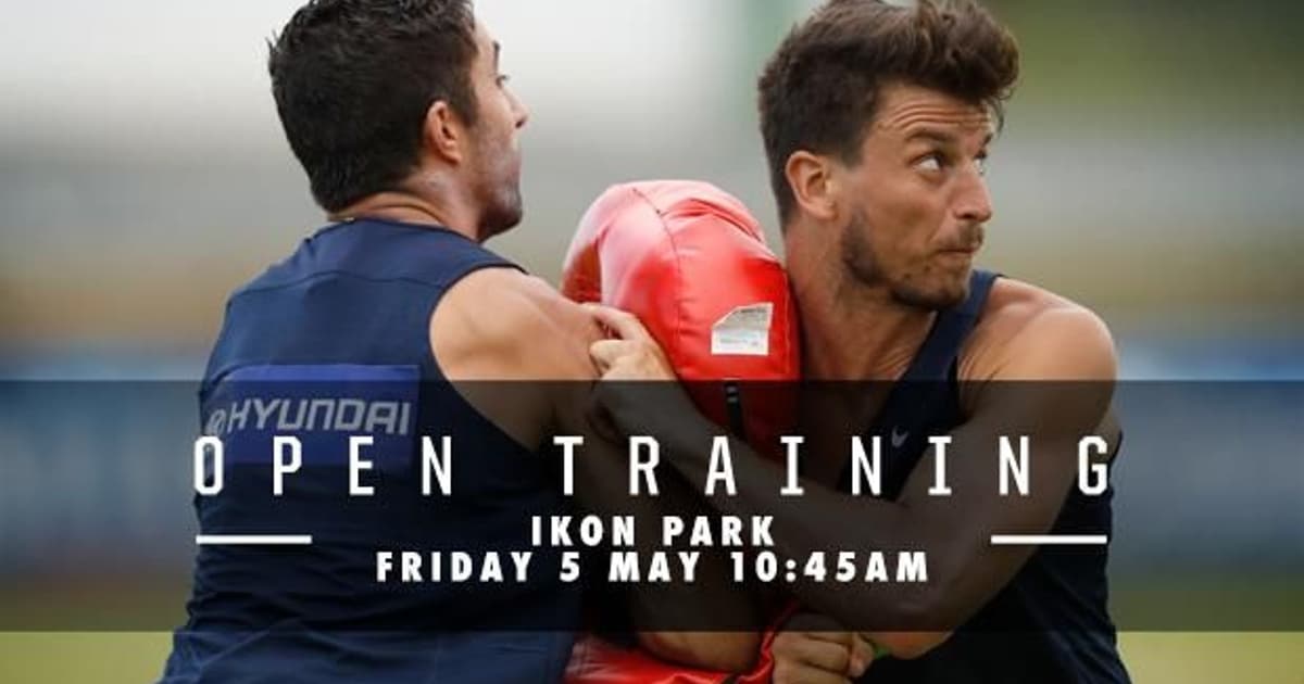 Open training preCollingwood Open training preCollingwood