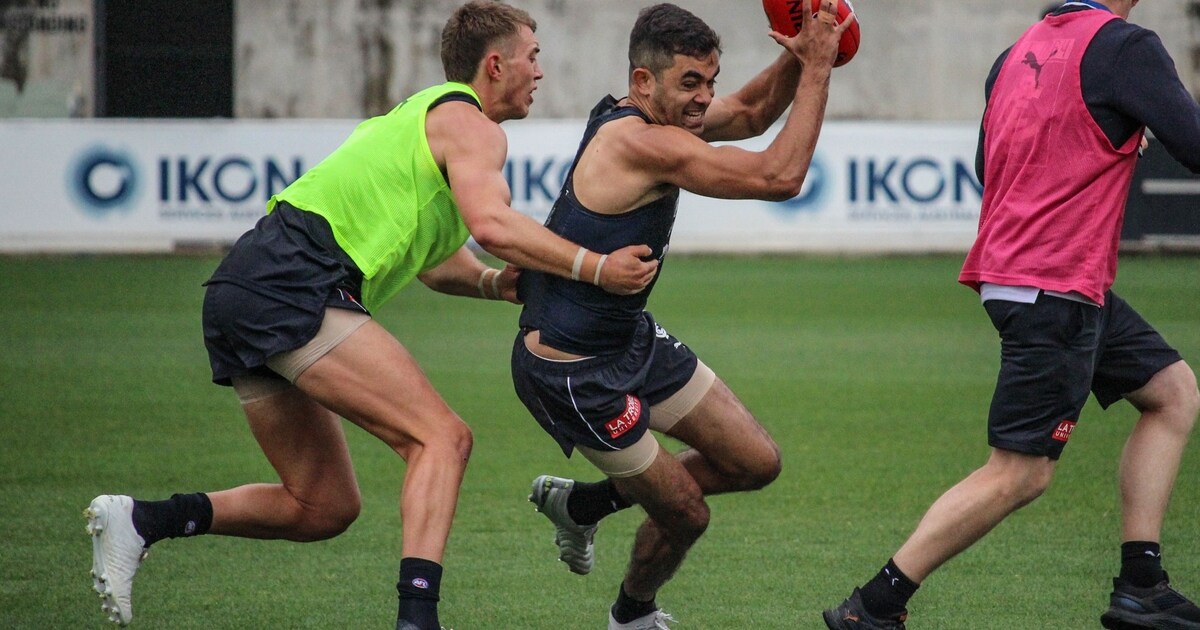 Galleries Carlton Football Club