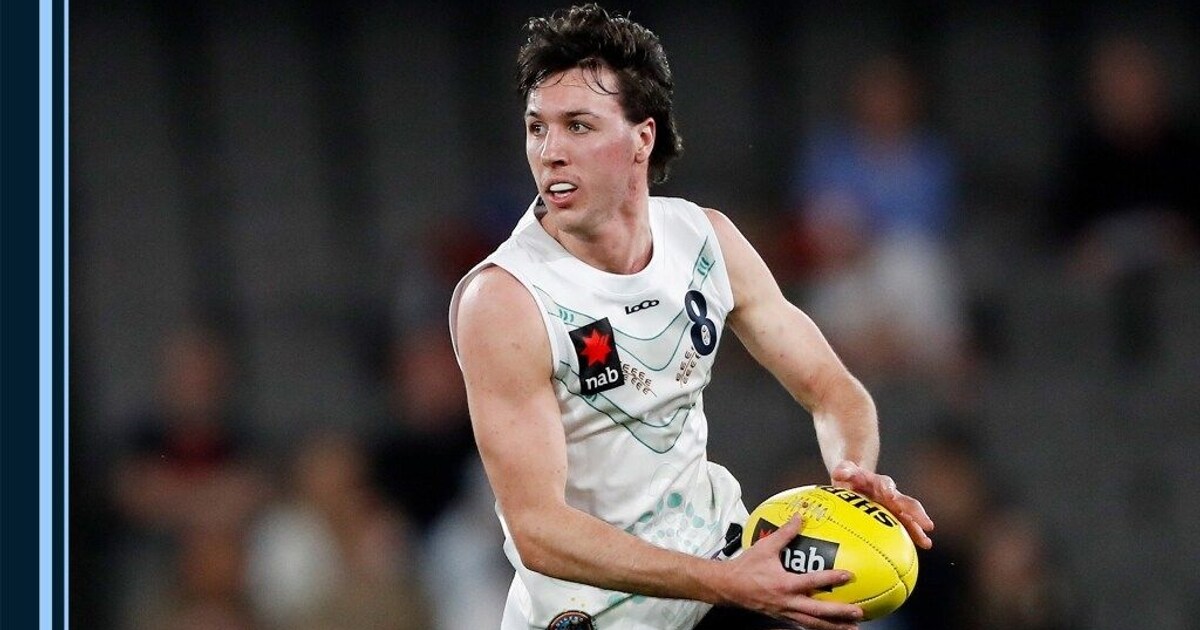 Highlights | Oliver Hollands