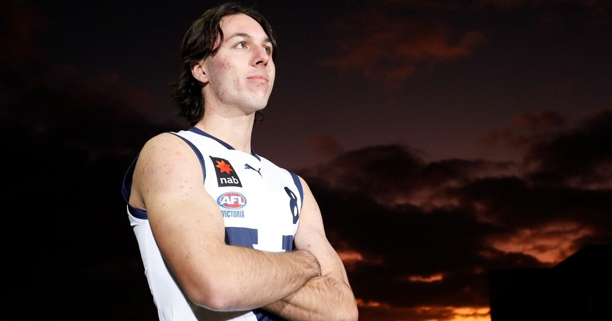 What they said: Experts on Oliver Hollands